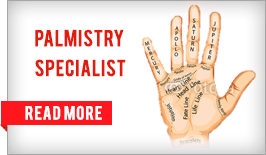 Palmistry Specialist